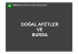 doğal afetler ve bursa