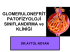 glomerulonefrıtler