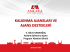 Kalkınma Ajansları ve Ajans Destekleri