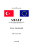 MIG Kaynağı