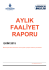 AYLIK FAALİYET RAPORU